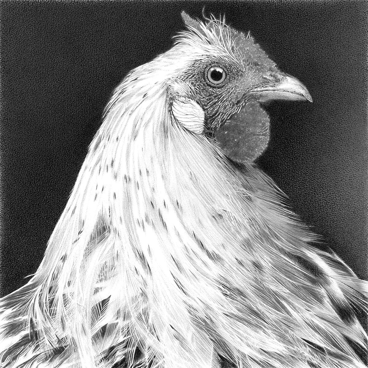 2021/13 Wachsbasierter Stift auf Aquarellpapier. 50 x 50 cm. Privatbesitz